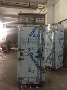 真功夫双门蒸饭蒸柜 304不锈钢智能节能厨房的工业艺术之选